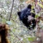 Proyecto ecoturístico amenazaría la Reserva Natural Chingaza