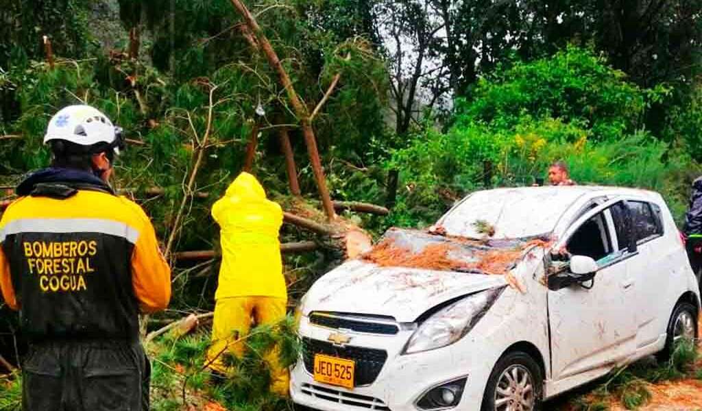 Un árbol cayó sobre un vehículo en Cogua