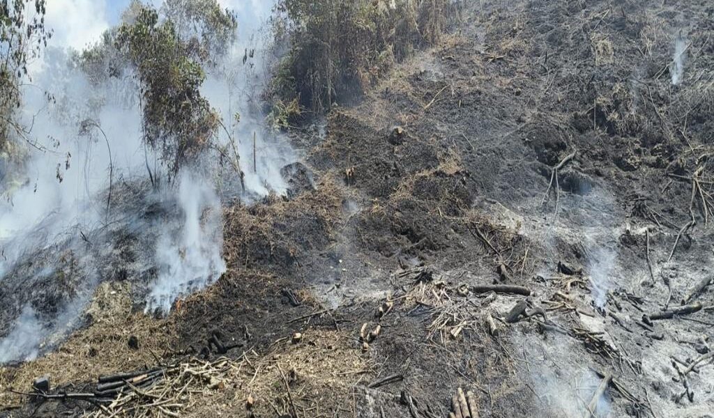 CAR advierte que el 90 % de incendios son por causas humanas